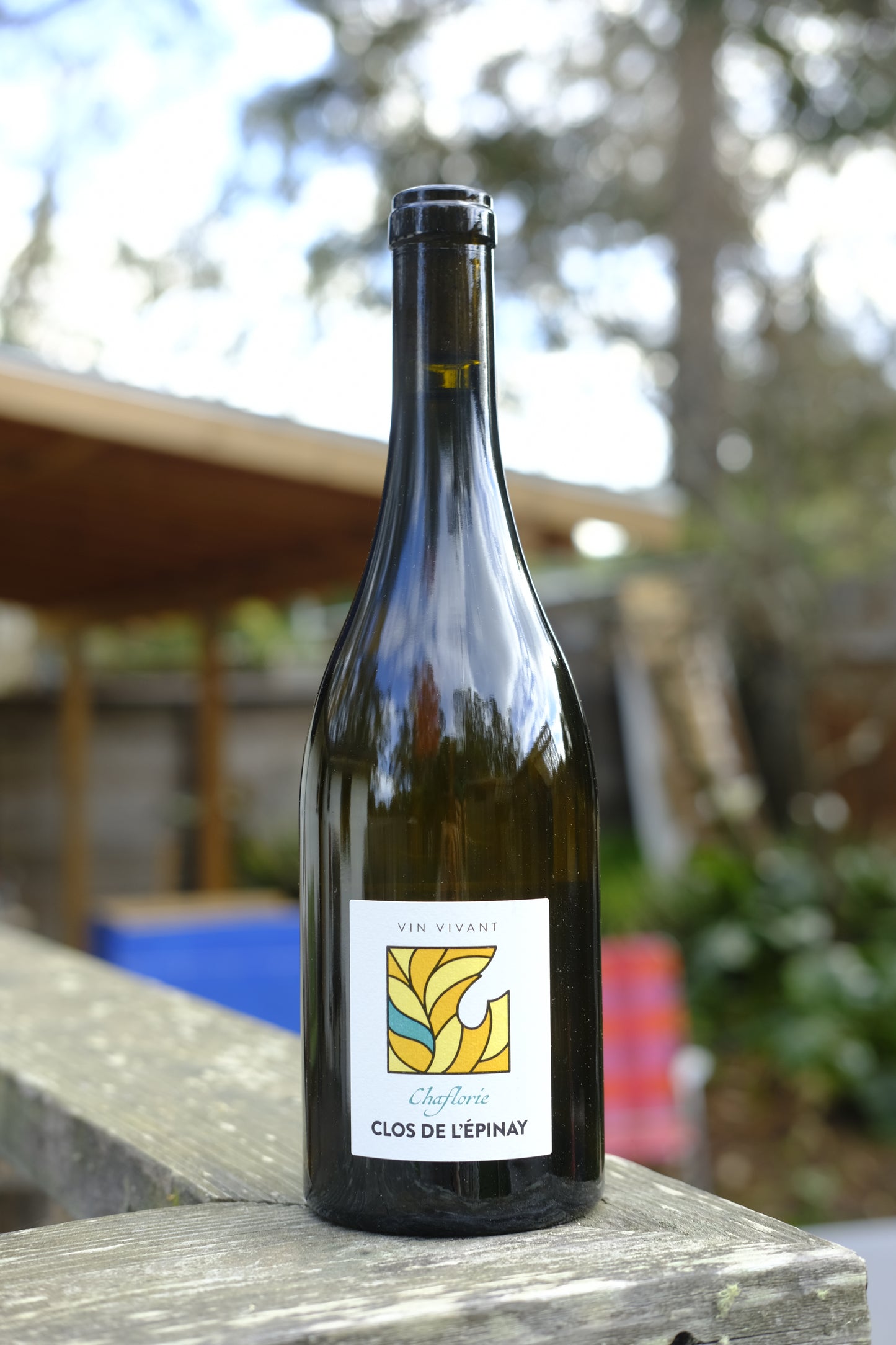 Clos de l'Epinay | Chaflorie '24