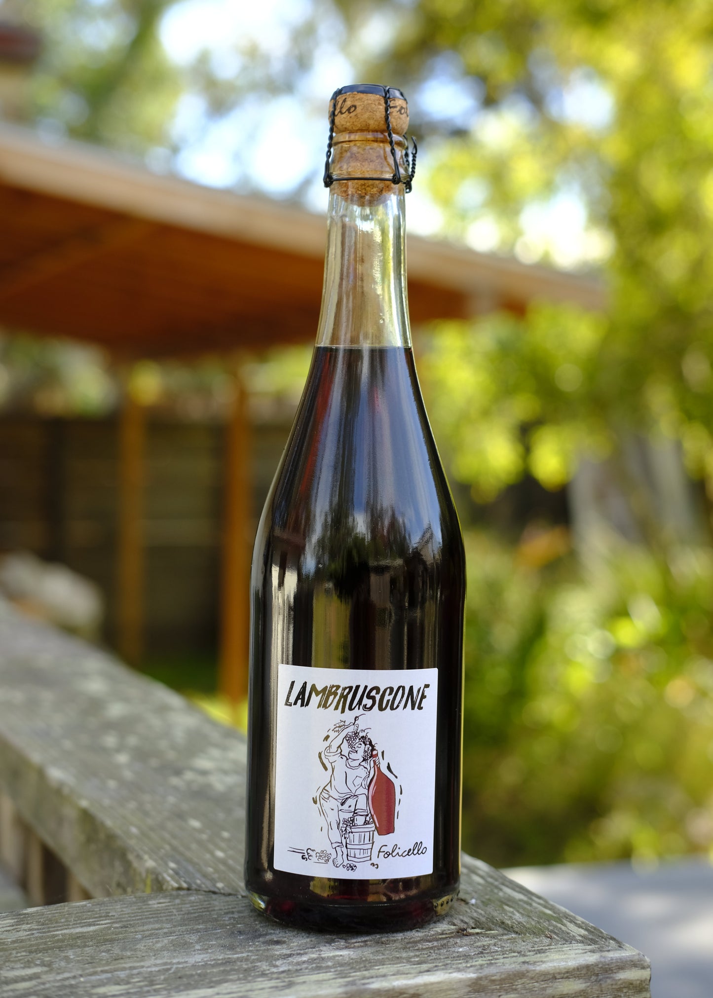 Il Folicello | Lambruscone '24