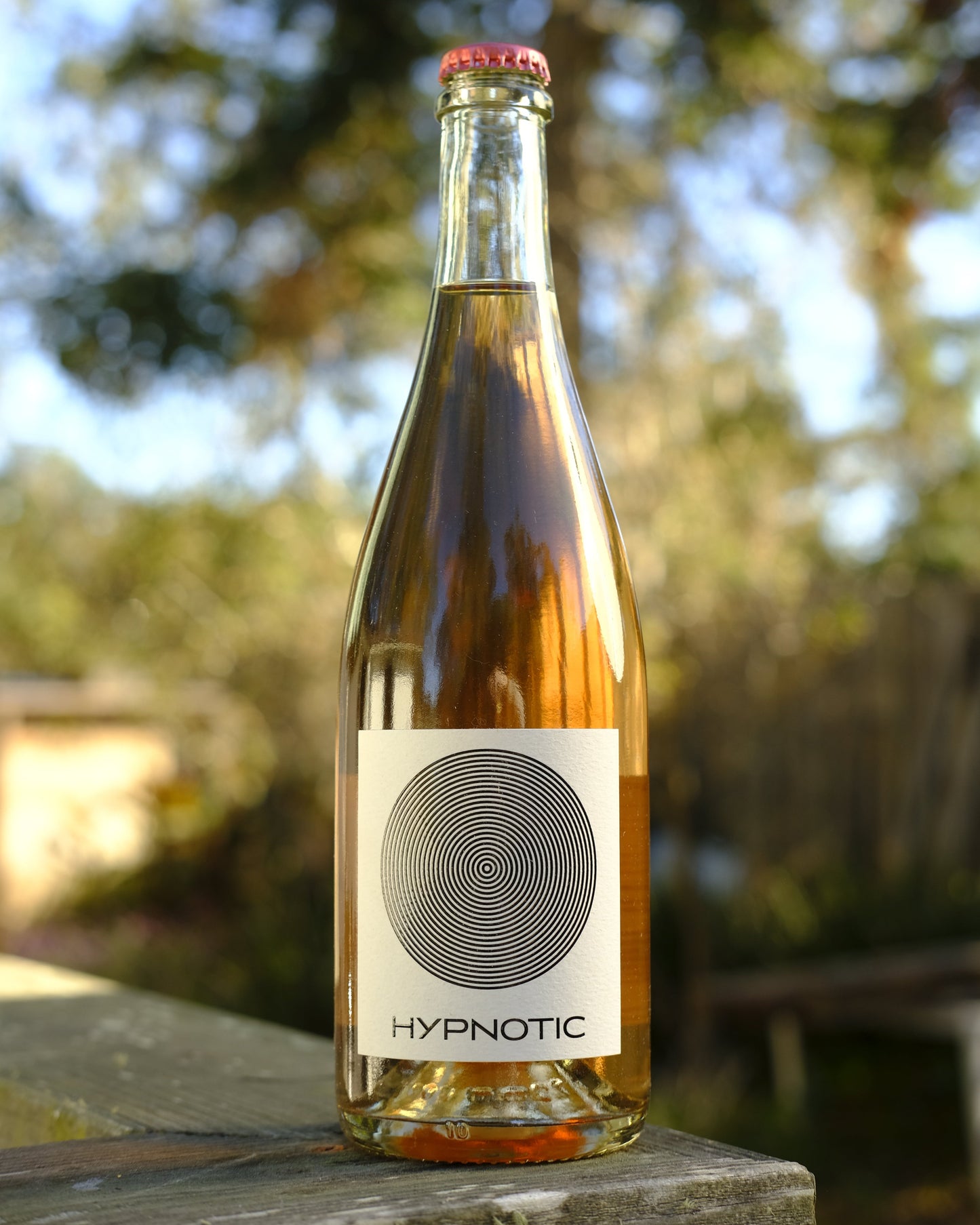 Remy Mabileau | Hypnotic Pet Nat Rosé '22