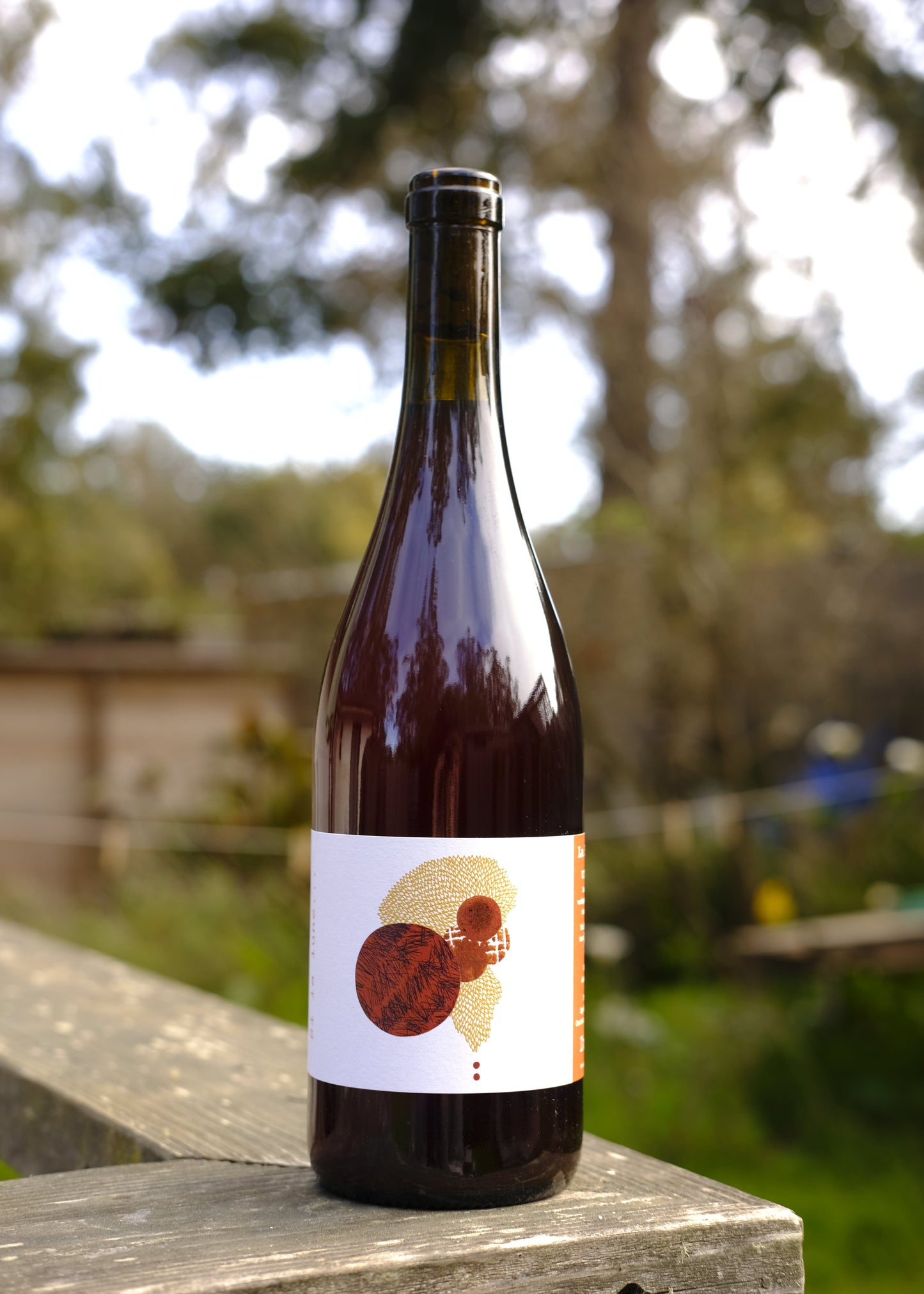 La Baladeuses | Si La Lune '23