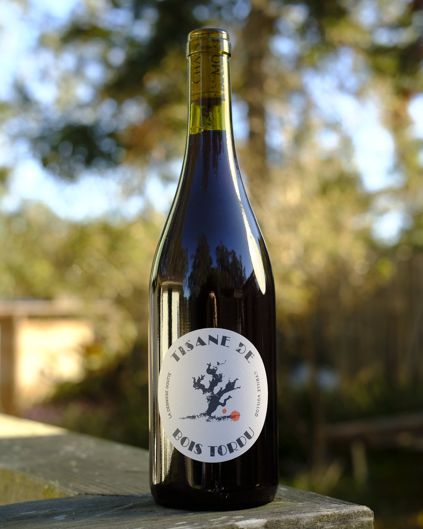 La Dernière Goutte | Tisane des Bois Tordu '22