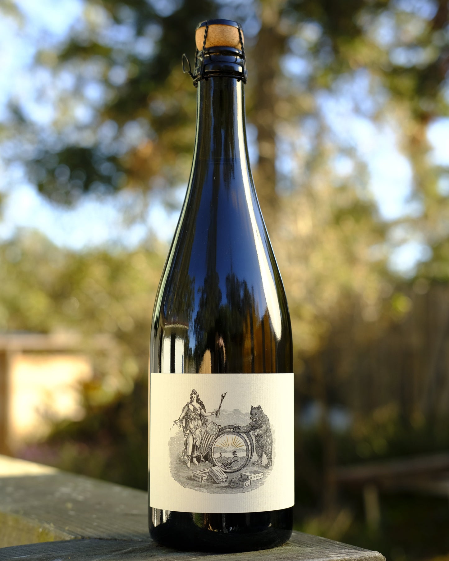 Maître de Chai | Sparkling Chenin Blanc '20