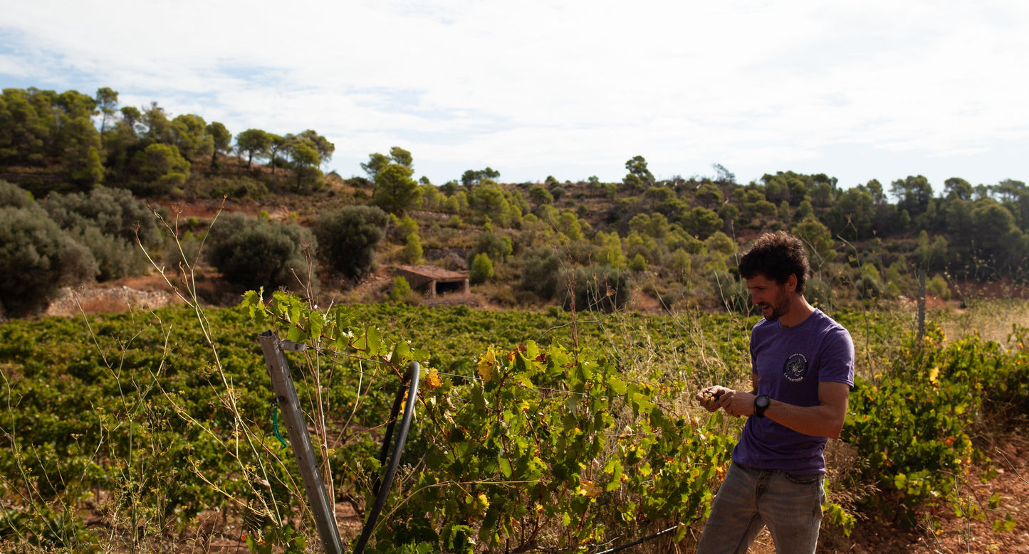 Portes Obertes | Petricor Roig '22