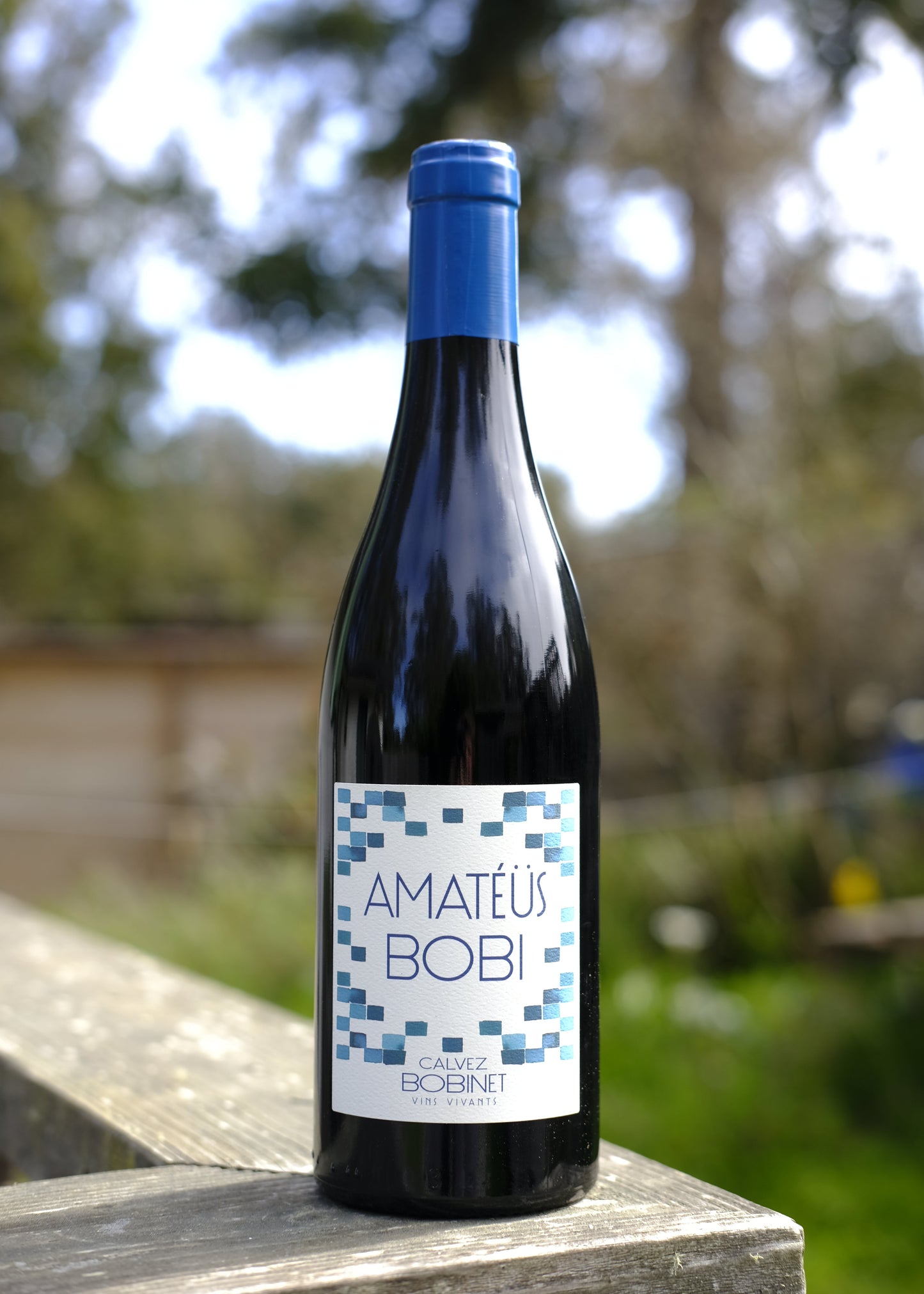 Sebastian Bobinet | Amatéüs Bobi '20