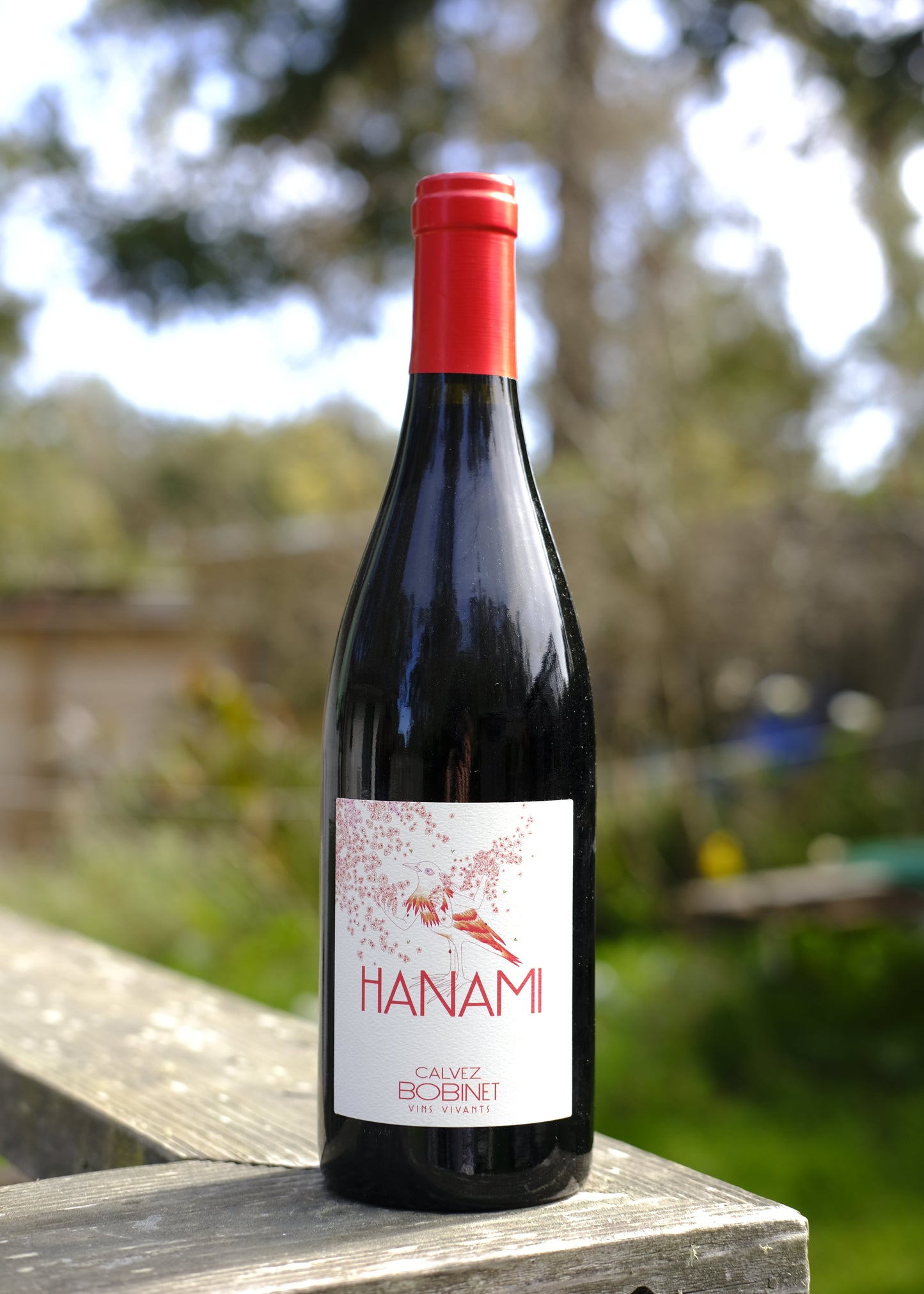 Sebastian Bobinet | Hanami '20