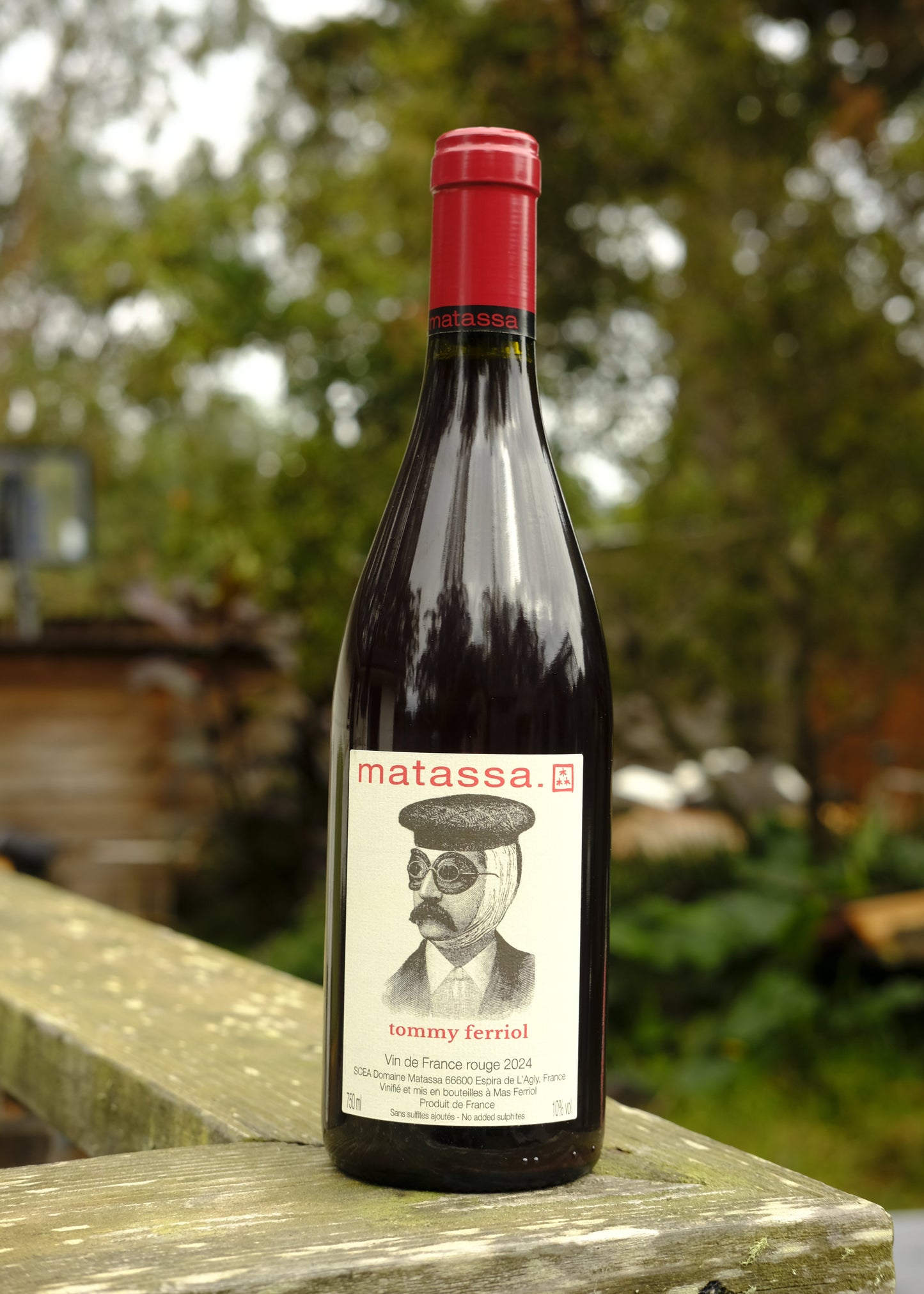 Matassa | Tommy Ferriol '24