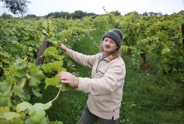 Anna, André, & Yann Durrmann | Pinot Blanc Magnum '23