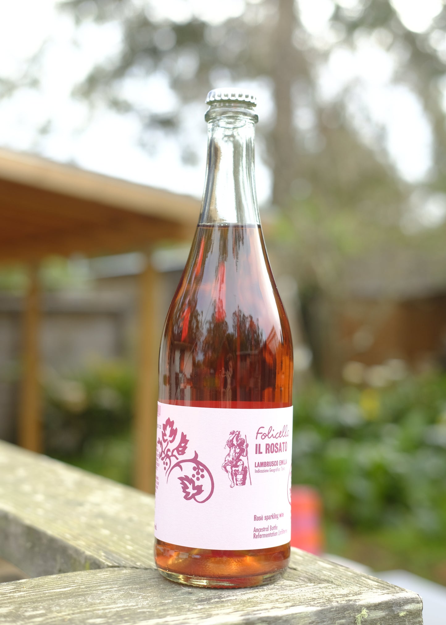 Il Folicello | Rosato '23