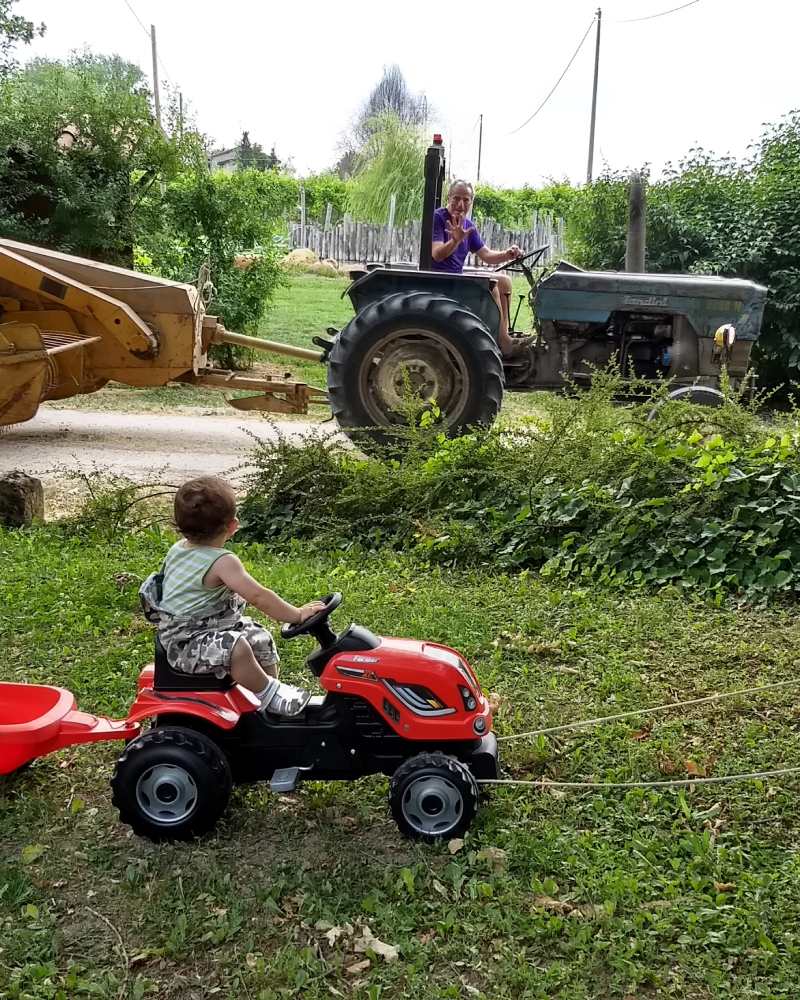 Il Folicello | Buffo Bianco '23
