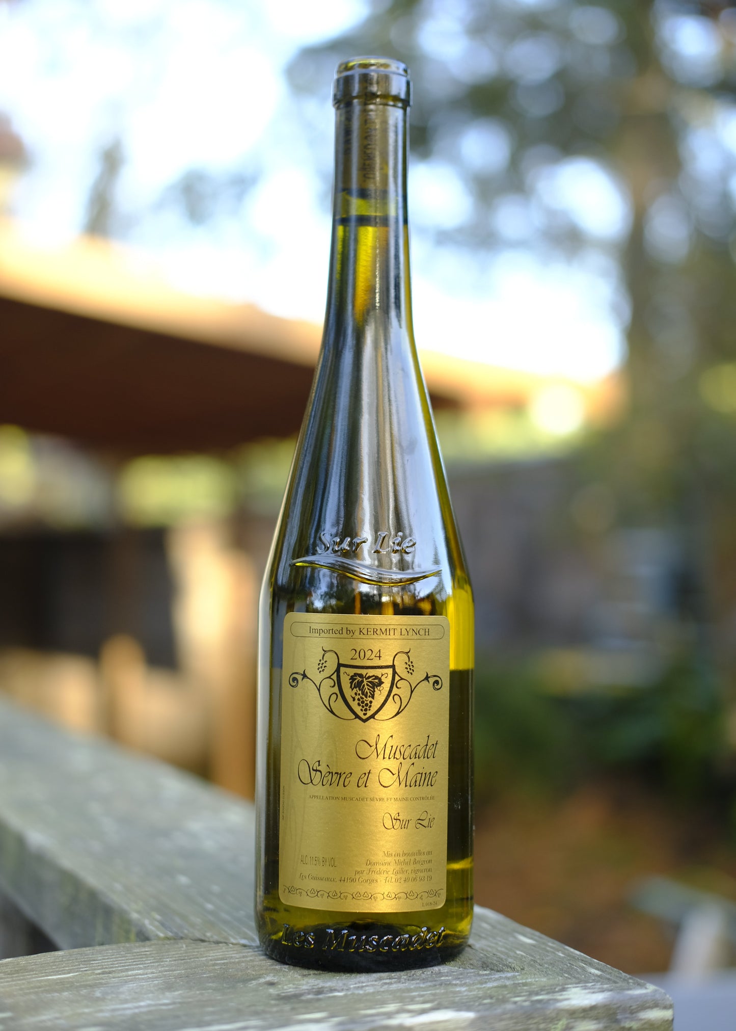 Domaine Michel Brégeon | Muscadet Sèvre et Maine Sur Lie '24