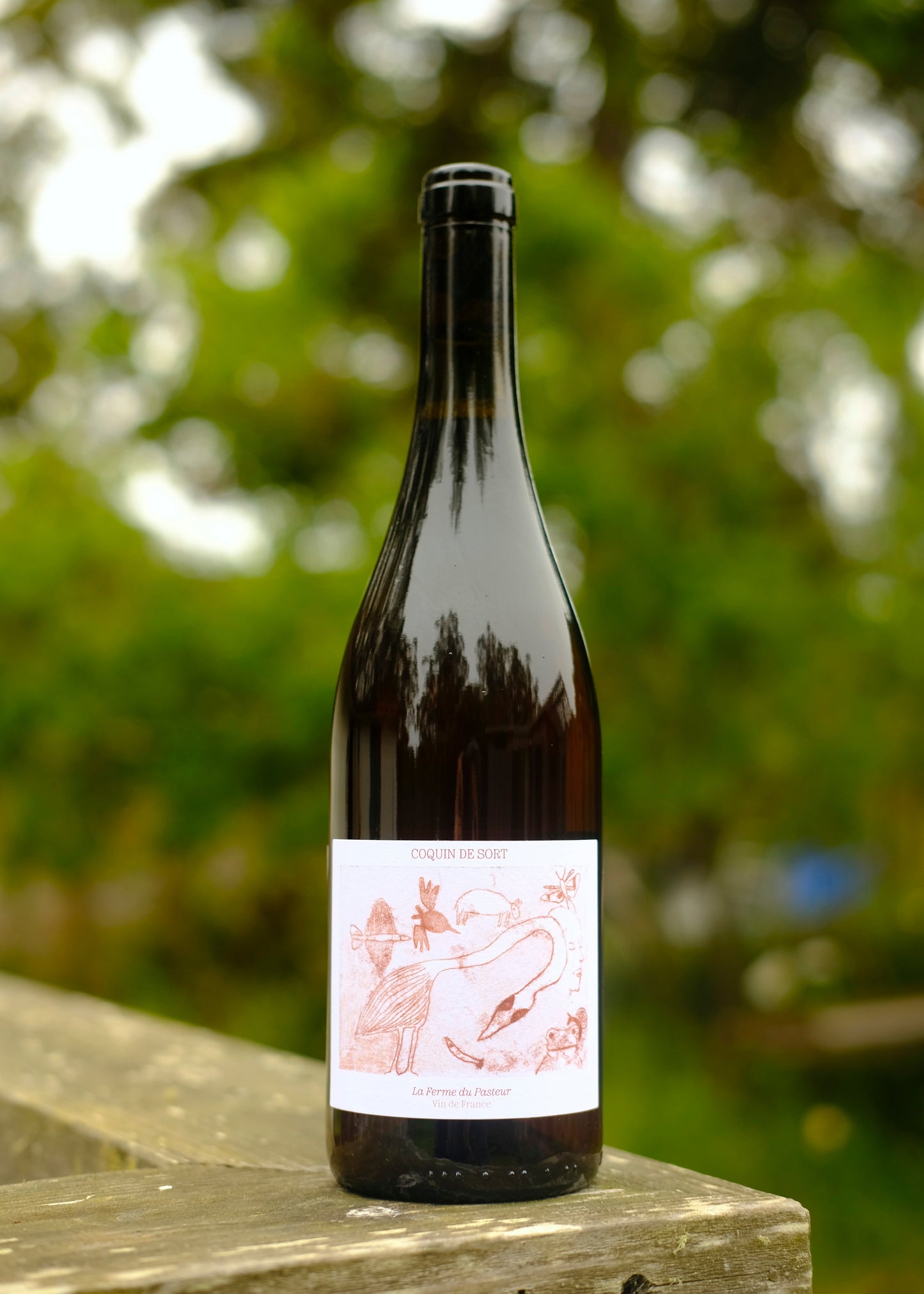 La Ferme du Pasteur | Qoquin de Sort '23