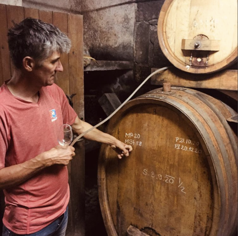 Šuman | Sivi Pinot Gris '21