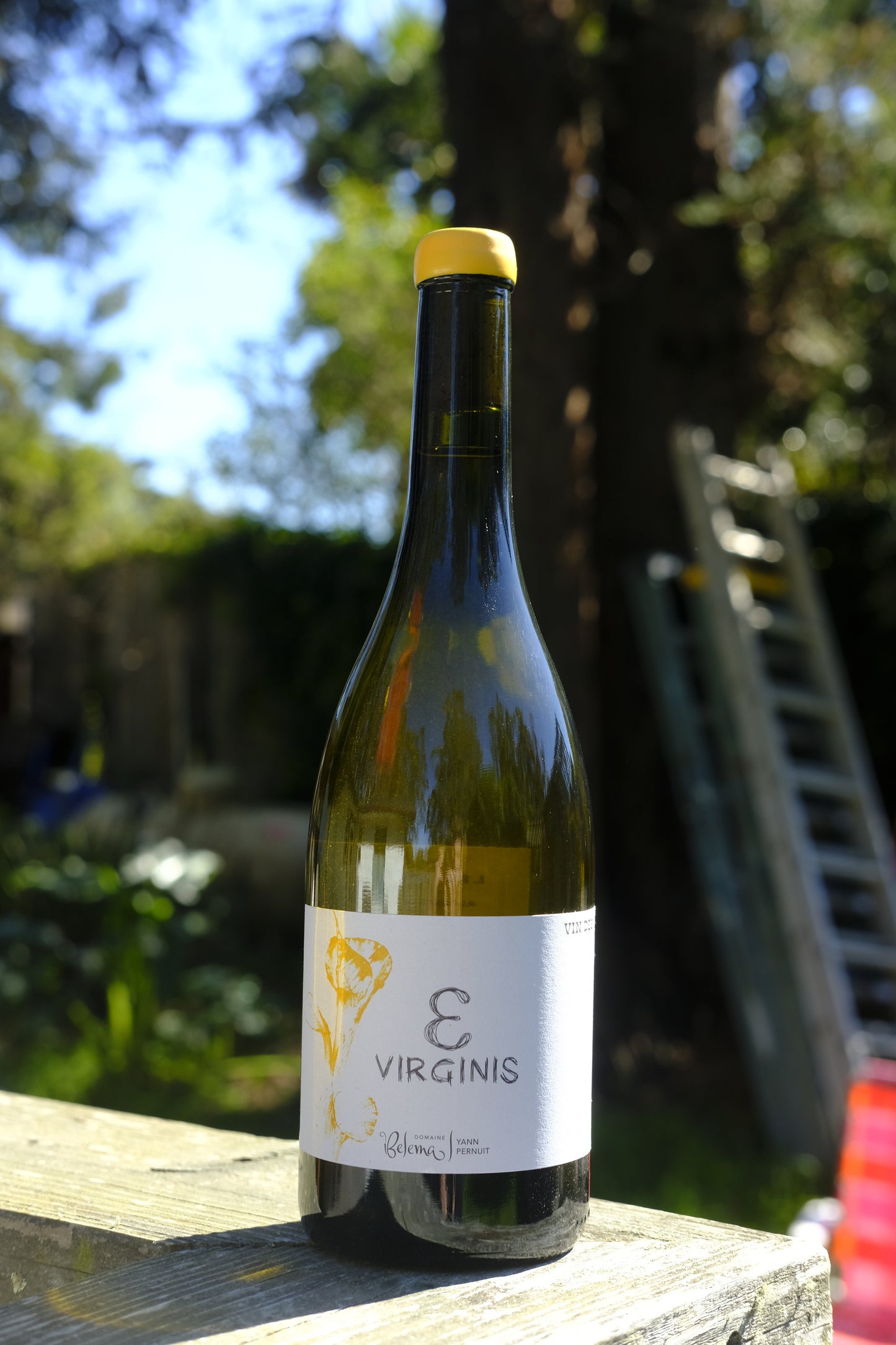 Domaine Belema | Epsilon Virginis '22