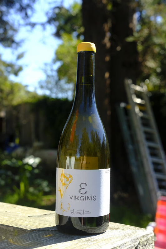 Domaine Belema | Epsilon Virginis '22