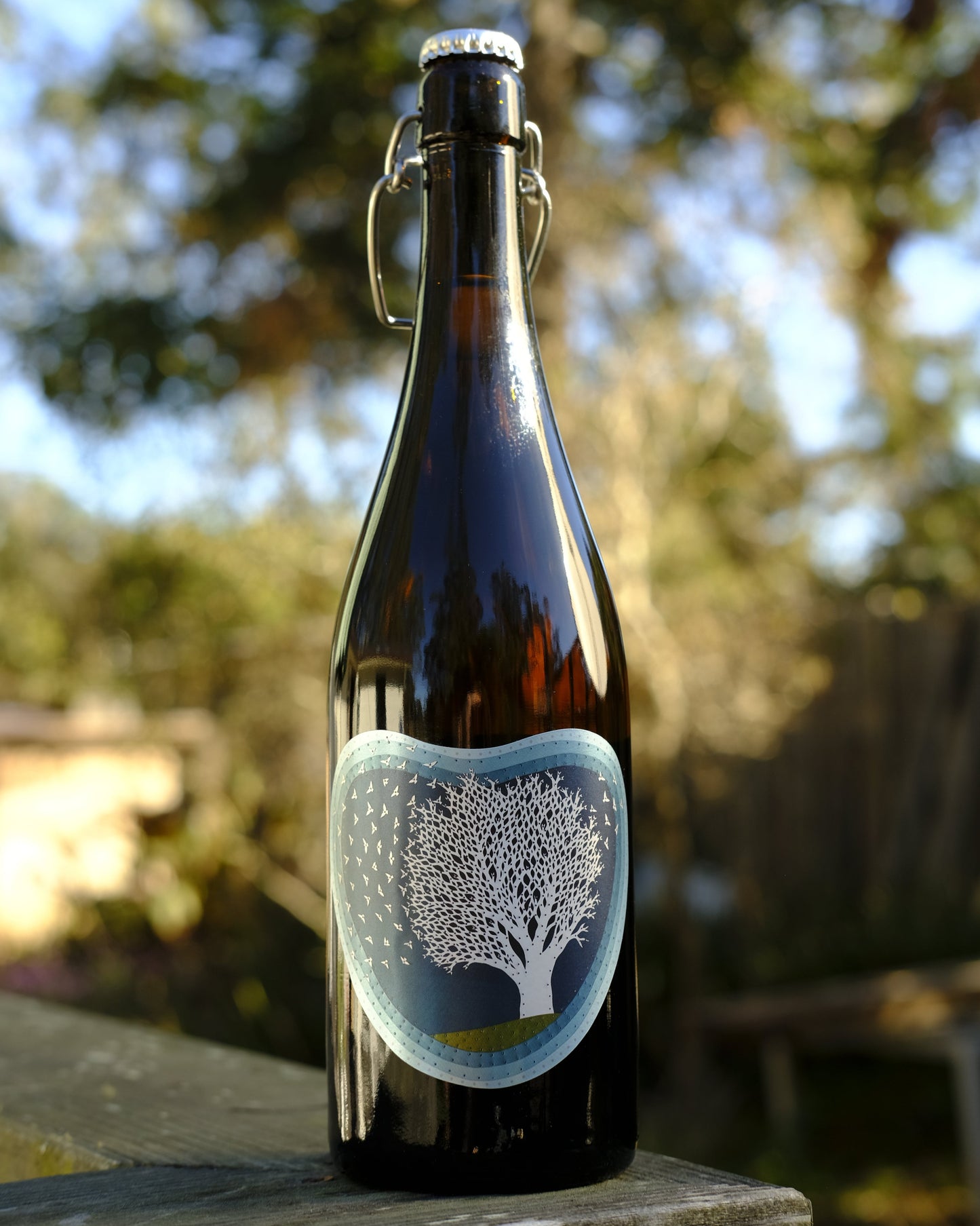 Art and Science | Quercus Alba Cider