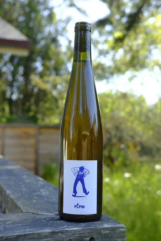 Pépin | Pépin Orange '23
