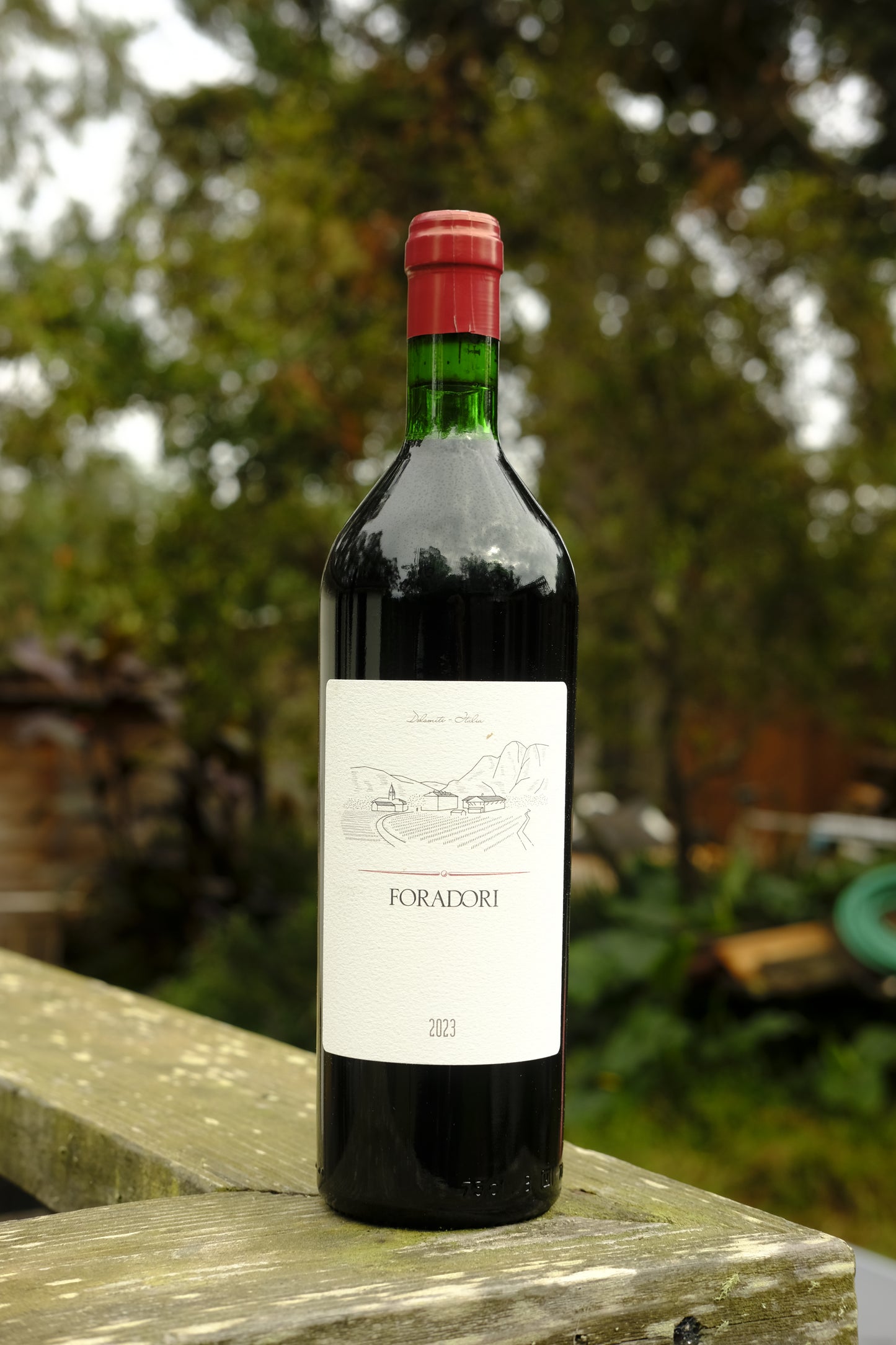 Foradori | Teroldego '23