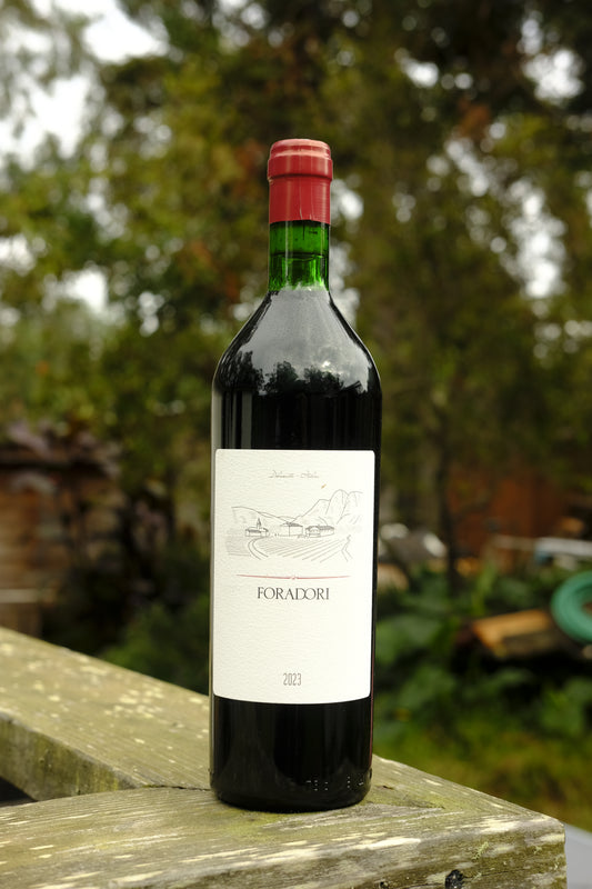 Foradori | Teroldego '23