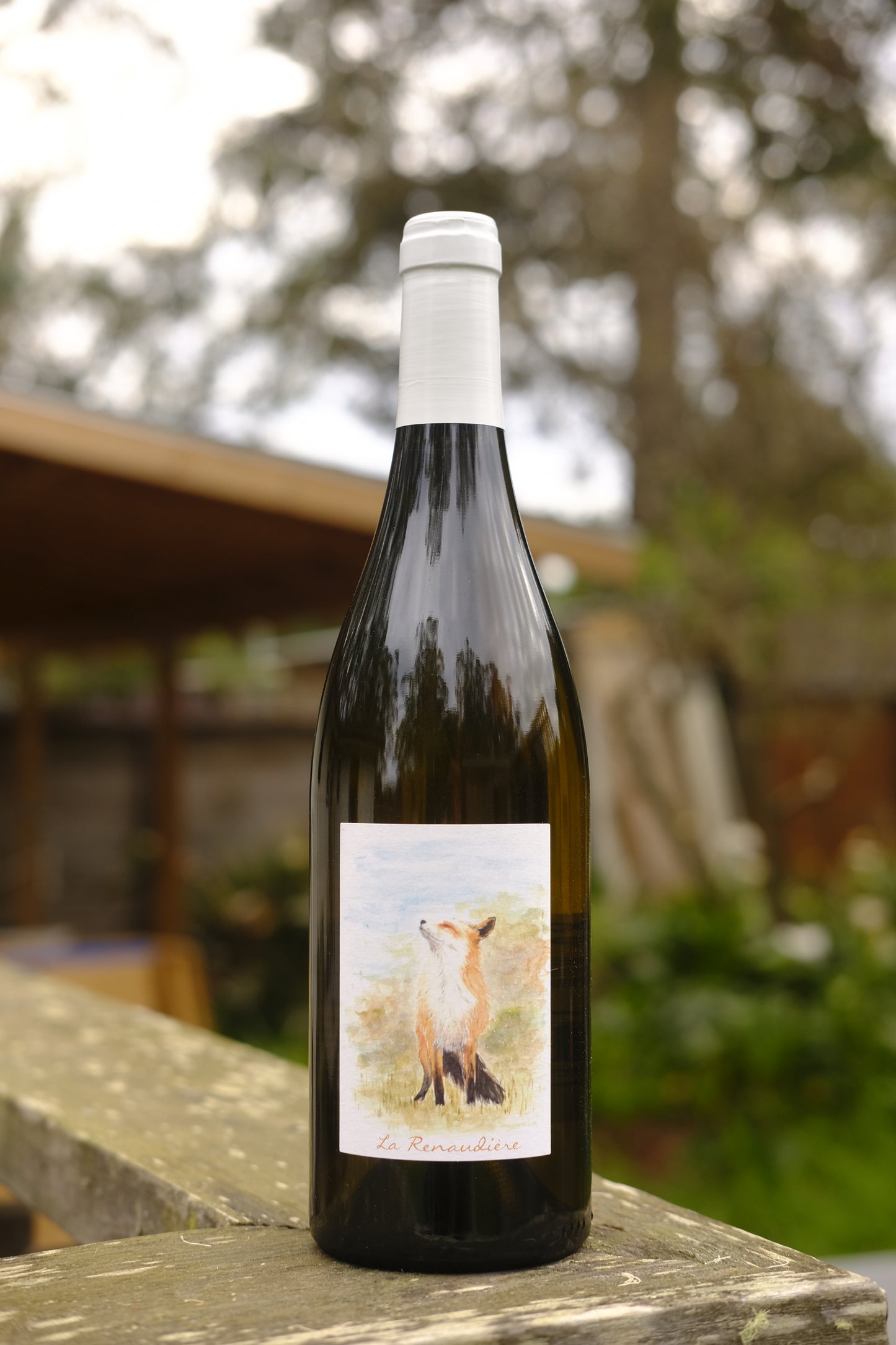 David Landron | Muscadet La Renaudiere '20