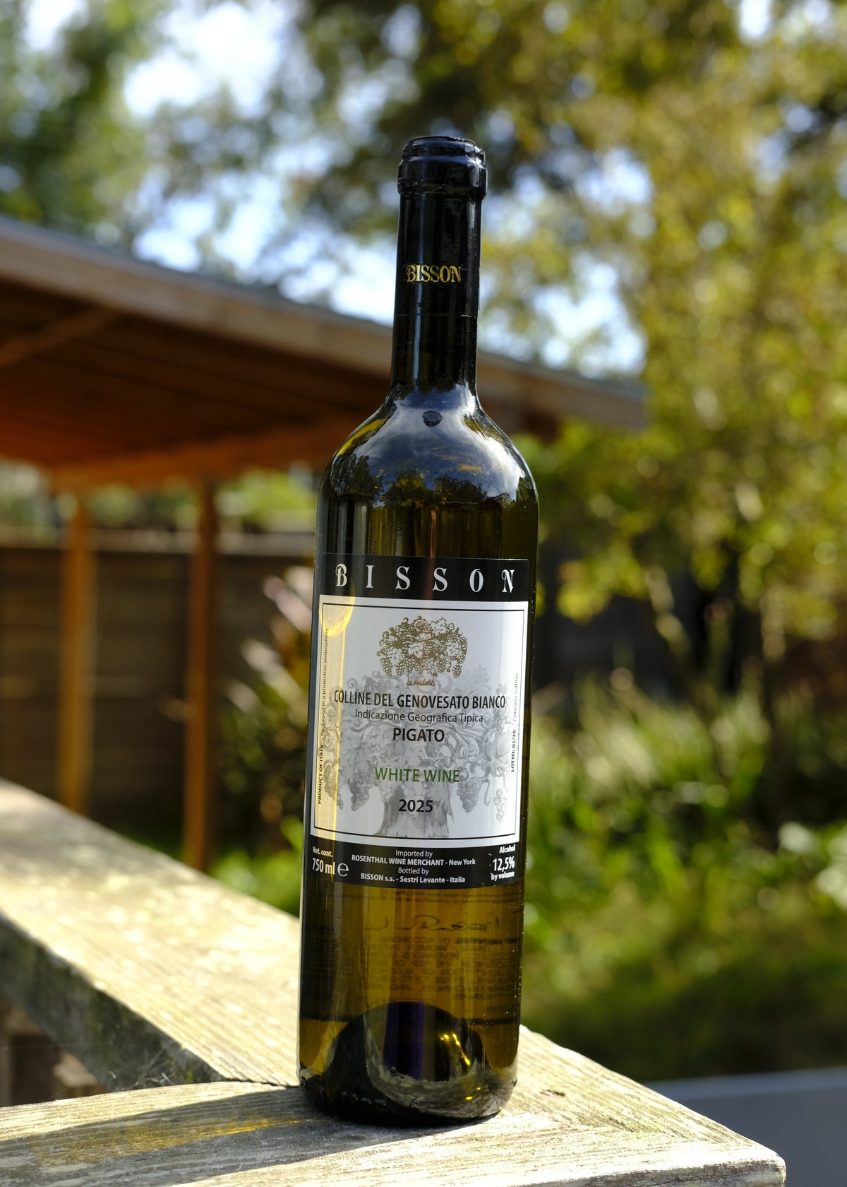 Bisson | Pigato Colline del Genovesato '25