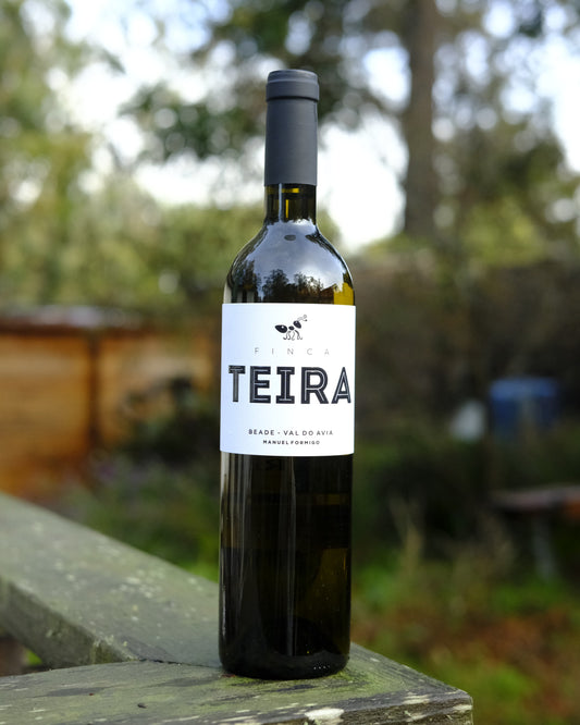 Manuel Formigo | Finca Teira '22