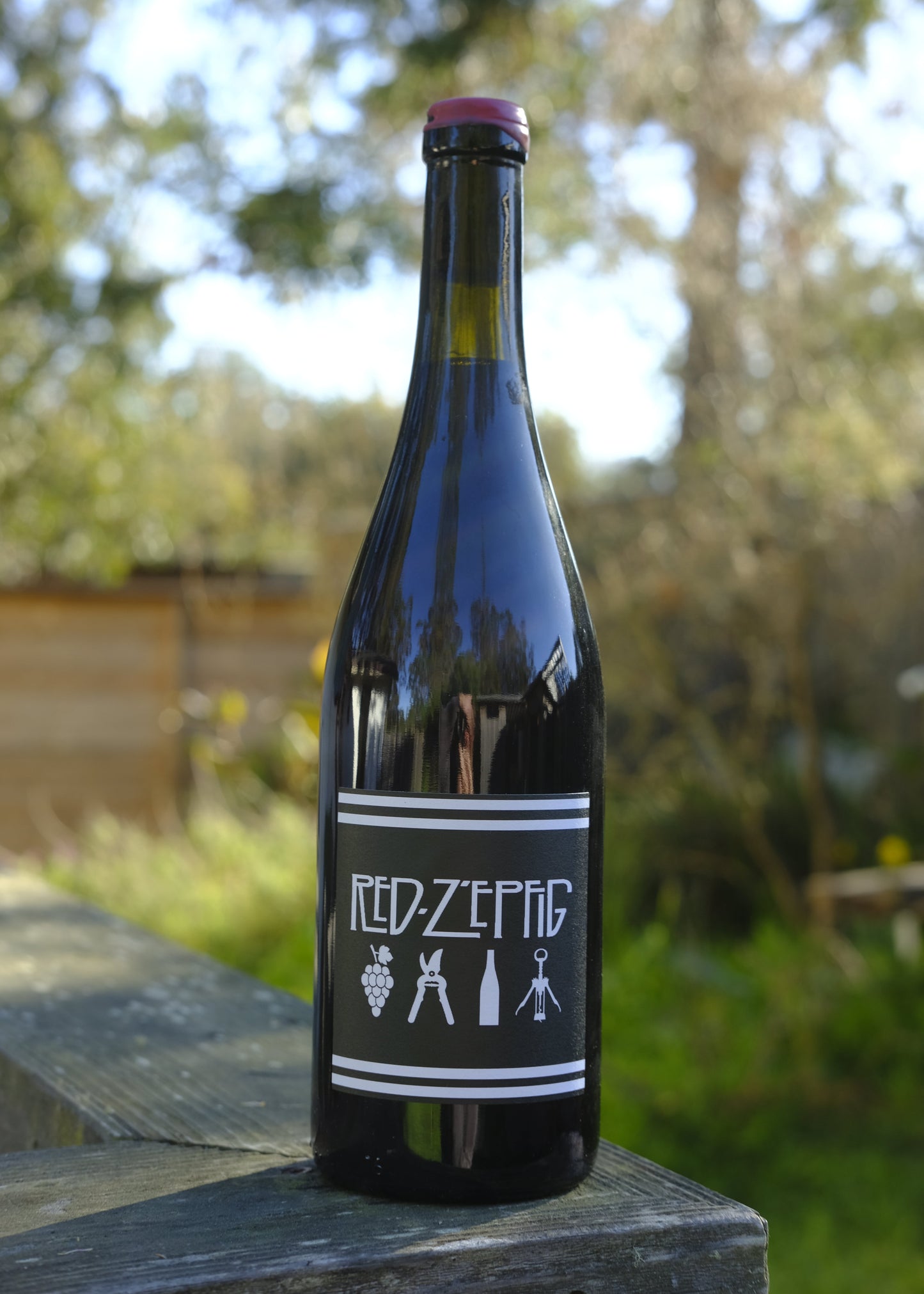 Domaine In Black | Red Z’Epfig '23