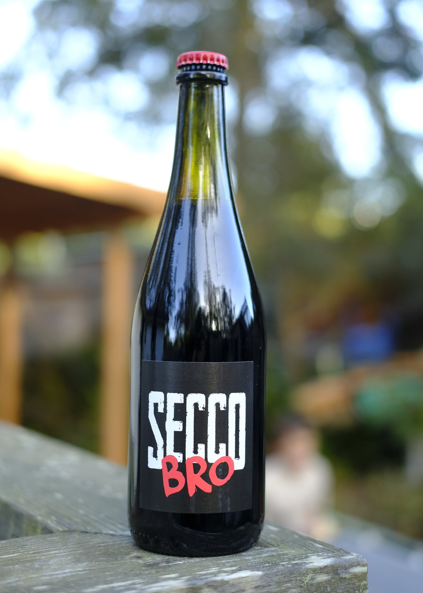 Il Folicello | Secco Bro Lambrusco '23