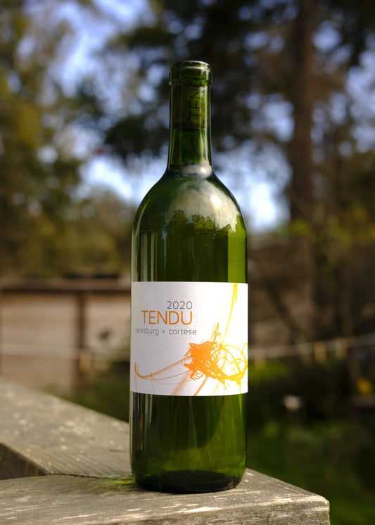 Tendu Wine Co. | Cortese '20