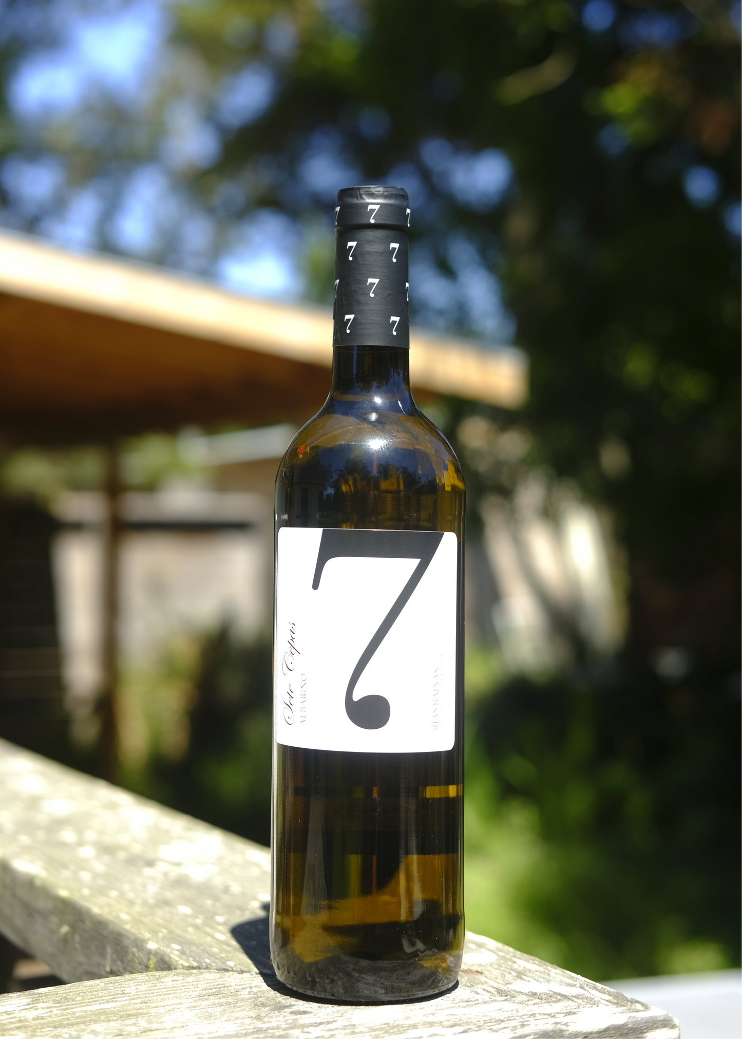 Carballal | Albariño '24