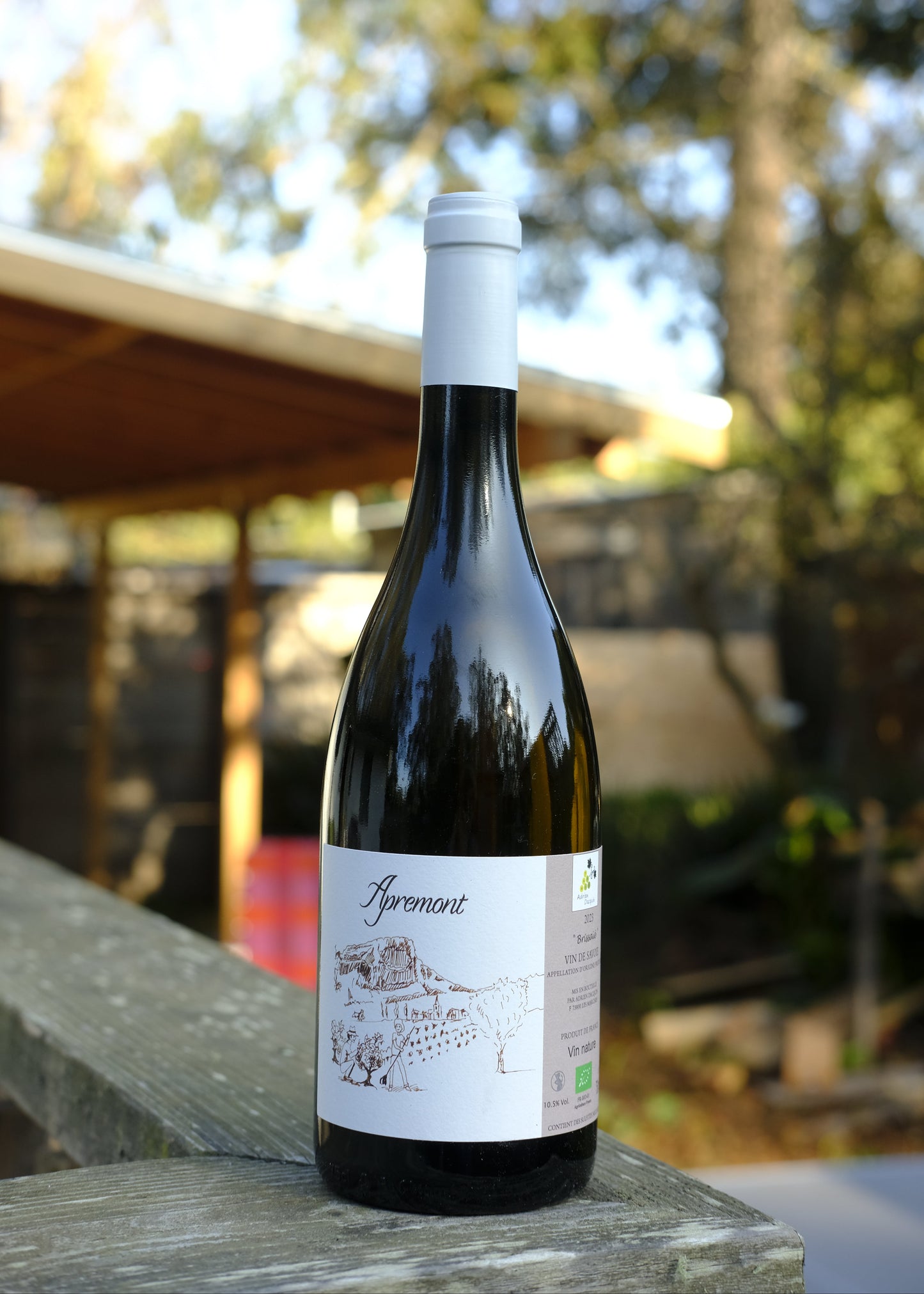 Adrien Dacquin | Apremont White '24