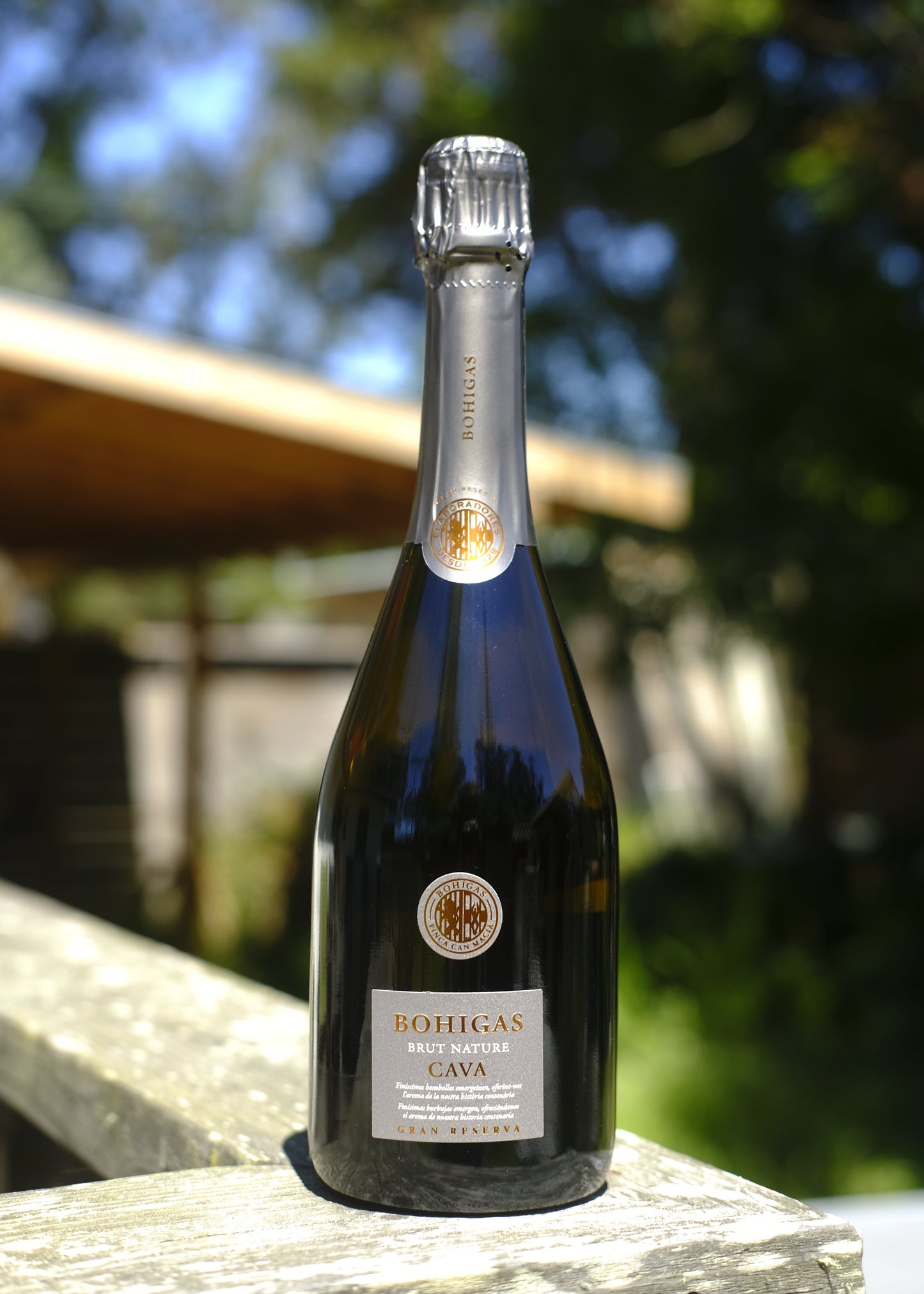 Bohigas | Cava Brut Nature