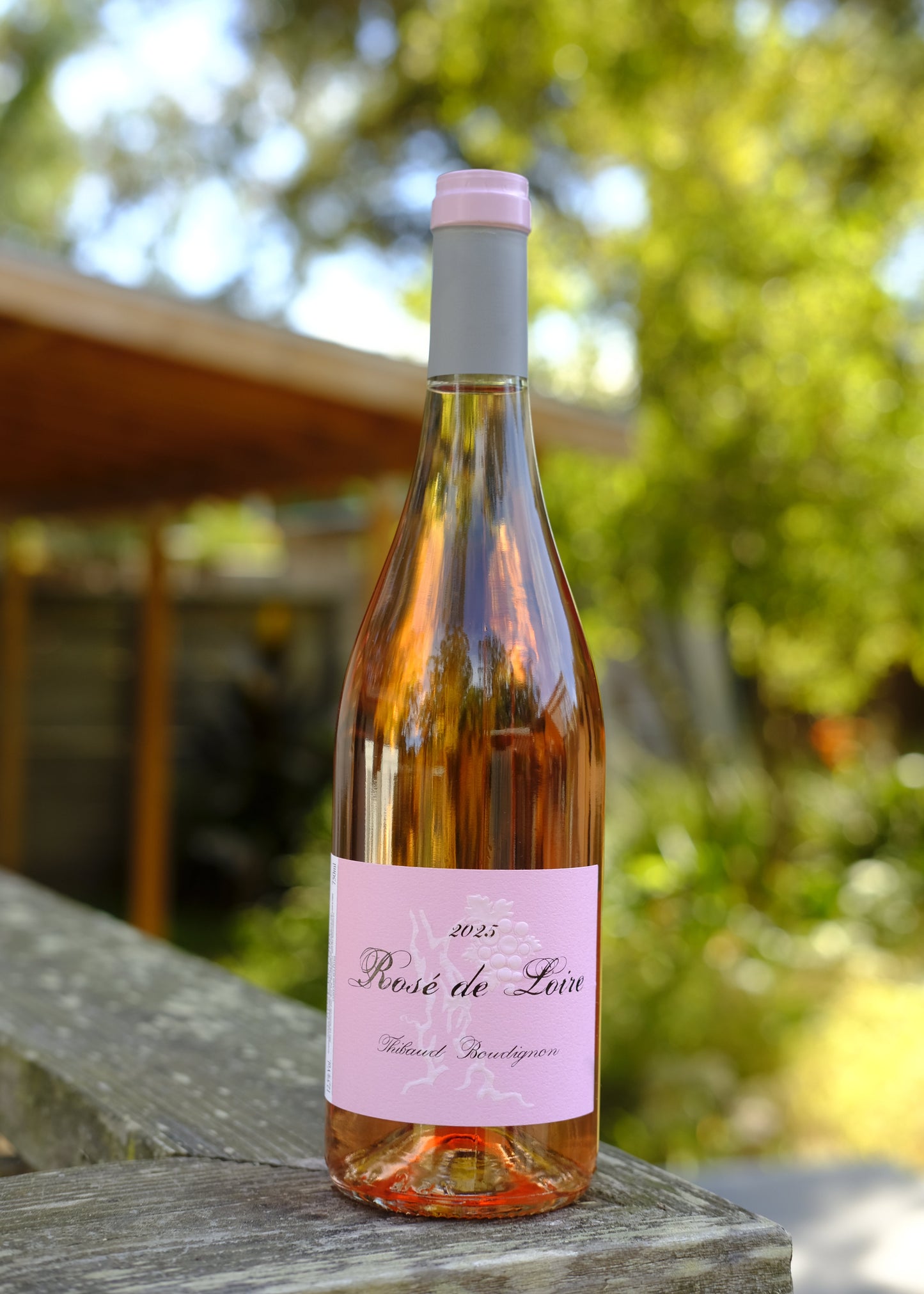 Thibaud Boudignon | Rosé '25