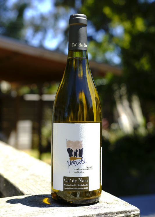 Ca' De Noci | Querciole '23