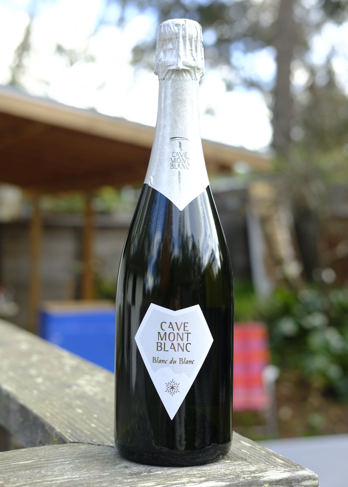 Cave Mont Blanc | "Blanc de Blanc" Spumante Metodo Classico