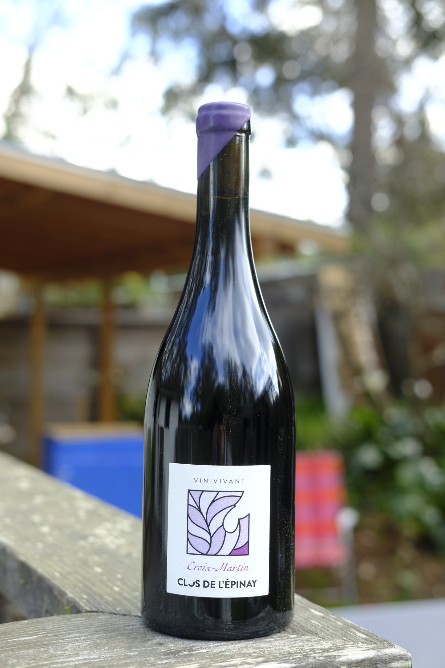 Domaine Clos de L'Epinay | Croix Martin '23