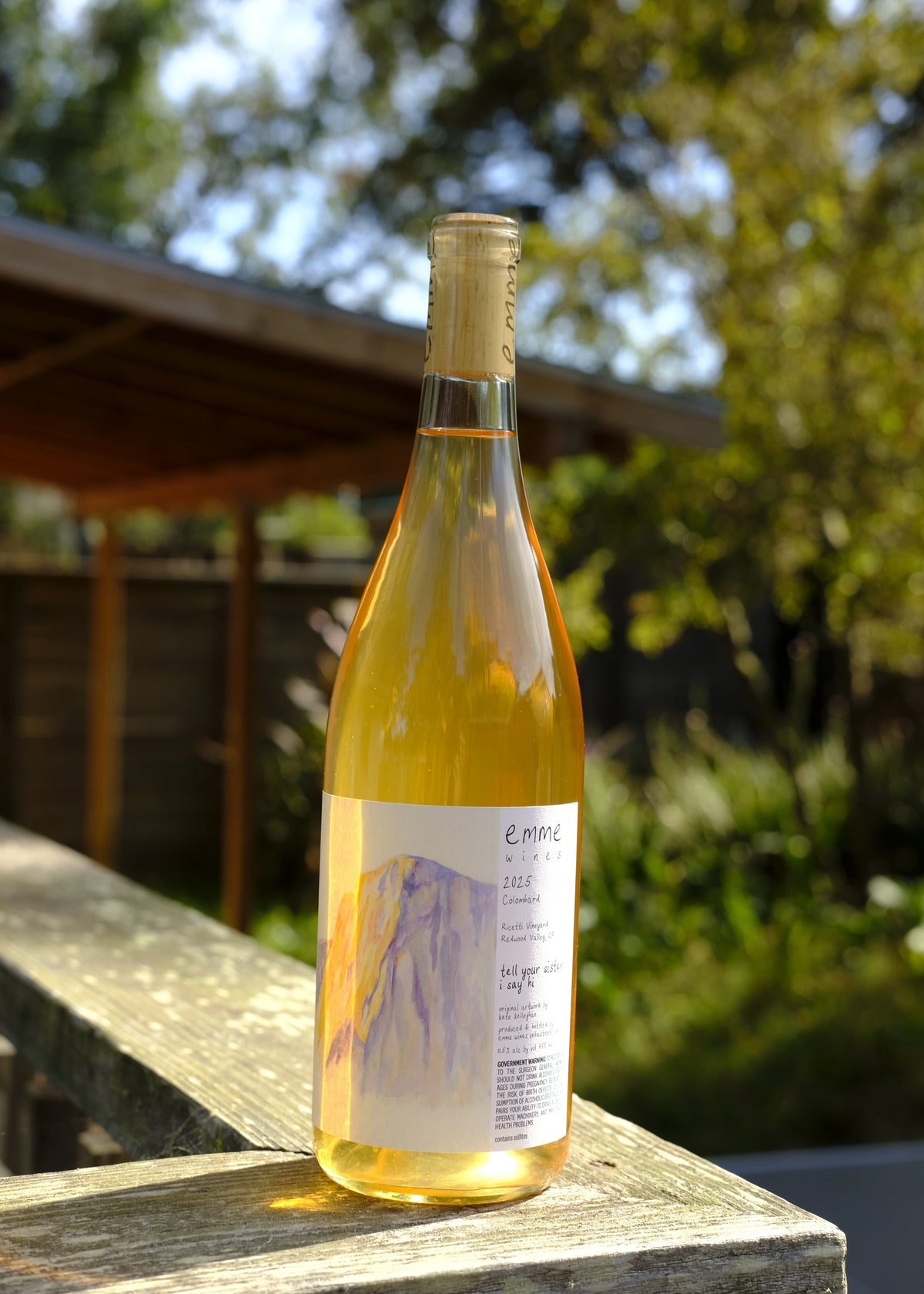 Emma Wines | Tell Your Sister I say Hi '25
