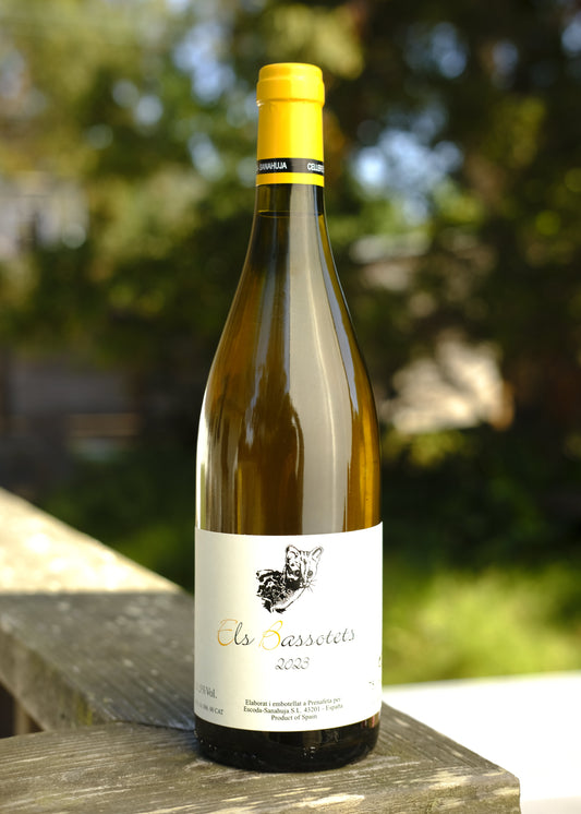 Celler Escoda - Sanahuja | Els Bassotets Blanc '23