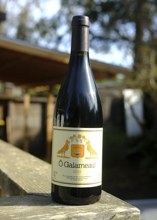 Mai & Kenji Hodgson | Galarneau '22