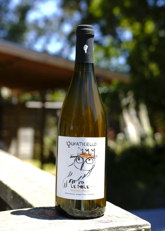 Quarticello | Le Mole '23