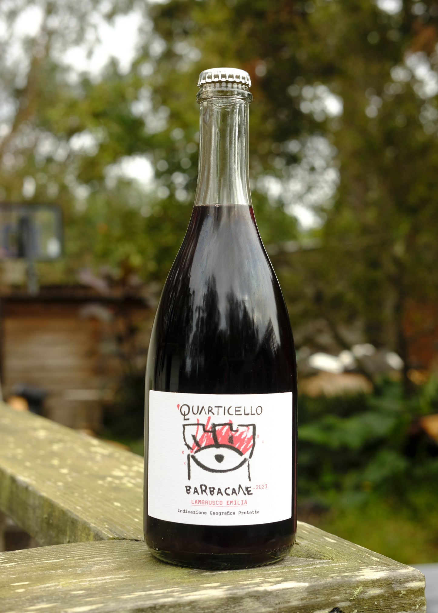 Quarticello | Barbacane Lambrusco bubbly red '23