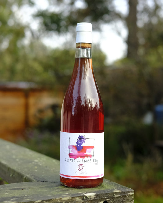 Ampeleia | Rosato di Ampeleia '22