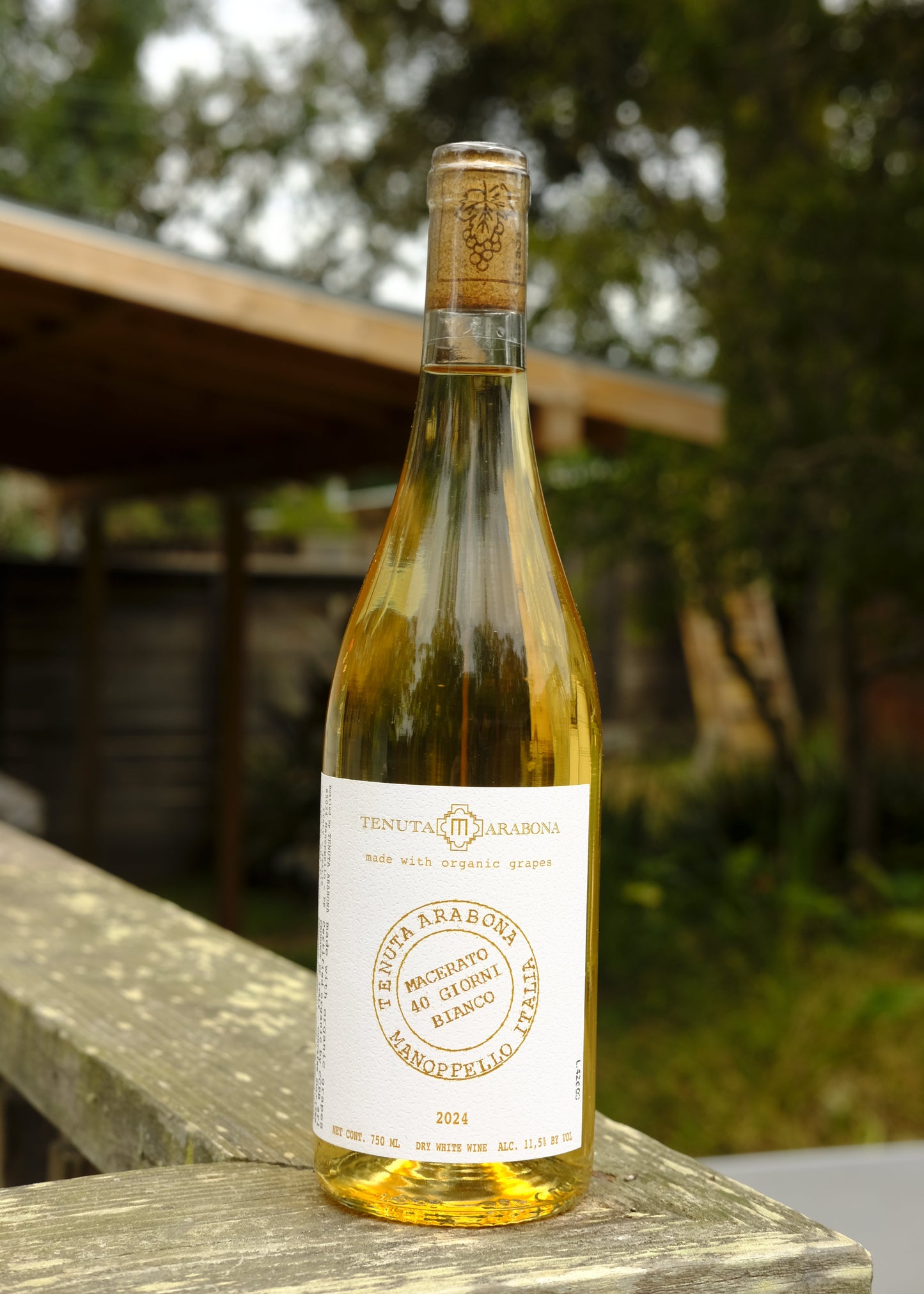 Tenuta Arabona | Macerato Abruzzo White '24