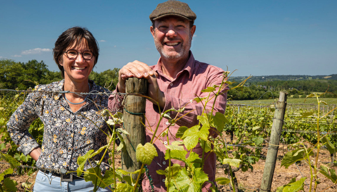 Terra Vita Vinum | VDF Large Soif