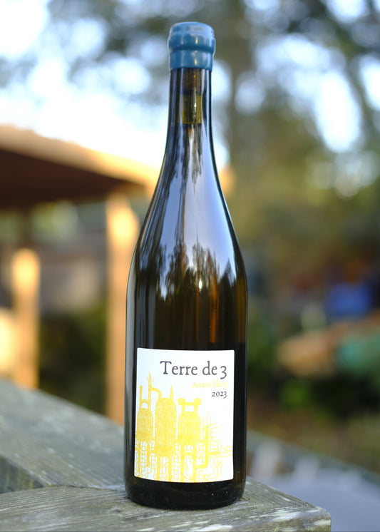 Terra Vita Vinum | Terre de 3 '23